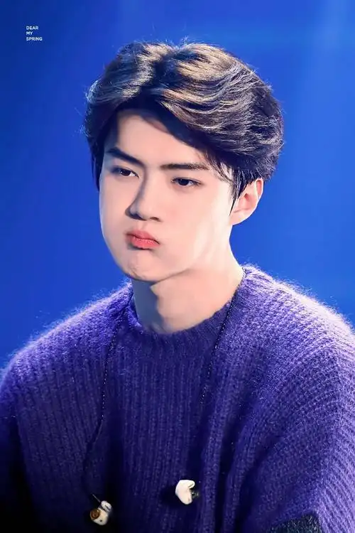 吴世勋 exo sehun