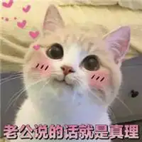 撩老公表情包:老公我好爱你呀,老公也太帅了吧