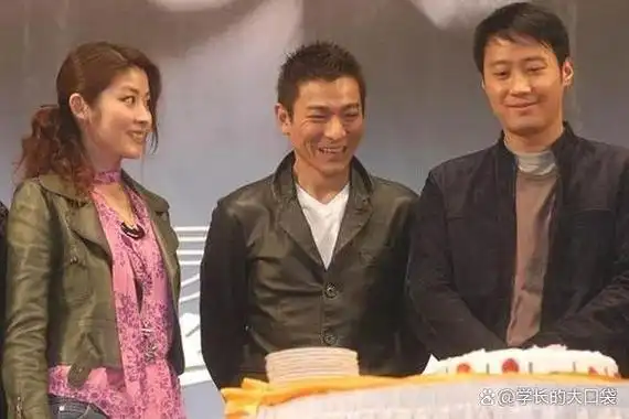 上图由左到右:陈慧琳,刘德华,黎明下图为金城武与陈慧琳有记者曾问