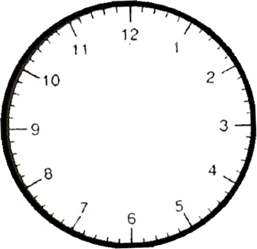 北师大版一年级上册数学第六单元试题(认识物体)