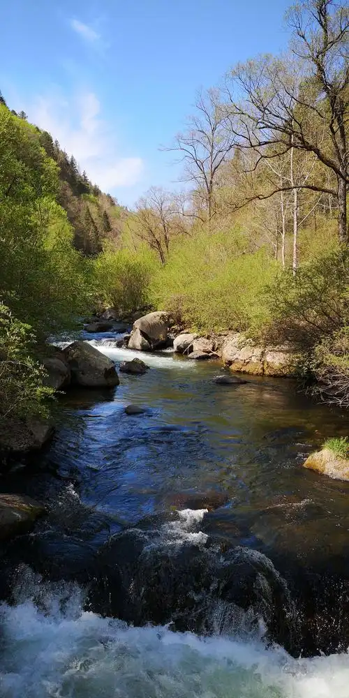 吉林望天鹅风景区风光好