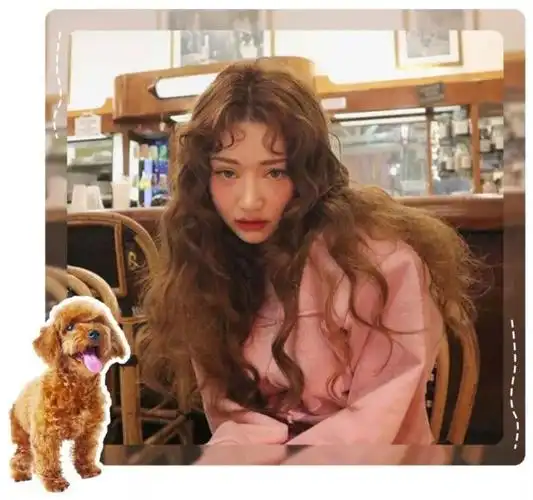 大半个娱乐圈都在烫的"泰迪卷",真的是复古时髦还显