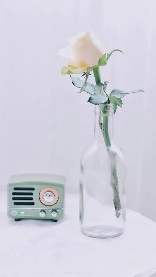 文艺小清新花卉唯美写真