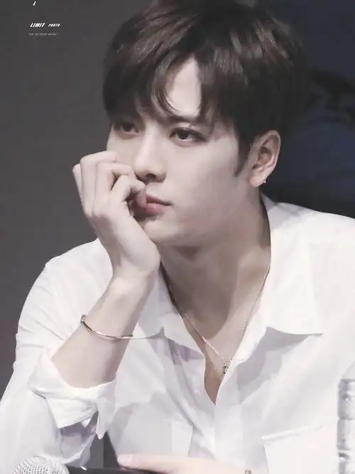 【图楼】白衬衫的王嘉尔