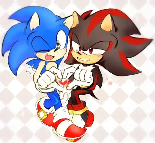 the hedgehog刺猬索尼克sonicshadow the hedgehog索尼克sonadow
