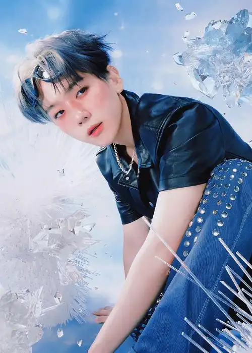 芭兰歌林代言人边伯贤