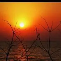 红太阳头像图片大全_微信头像图片大全