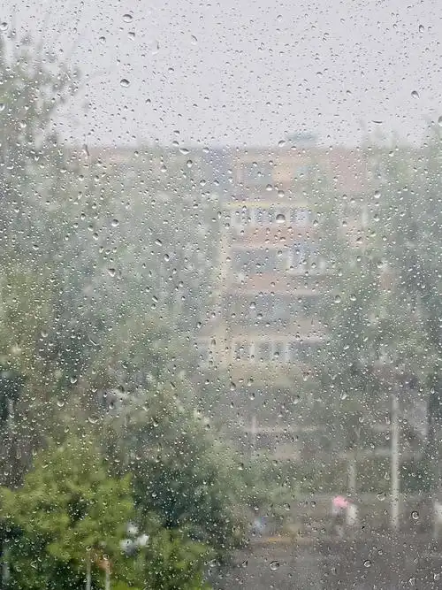 今天窗外的雨