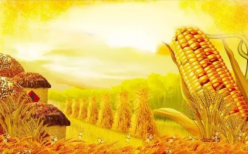 秋天是个凉爽的季节,五谷丰收,果实累累,到处一片金黄.