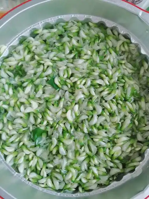 槐花的多种做法04