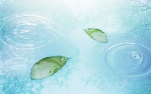 绿色背景护眼电脑壁纸