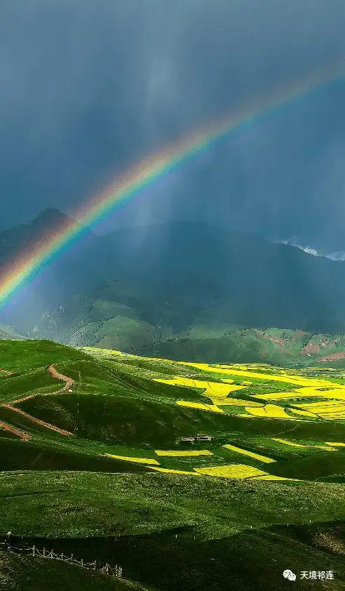 携一份诗意醉在祁连的初秋秘境里