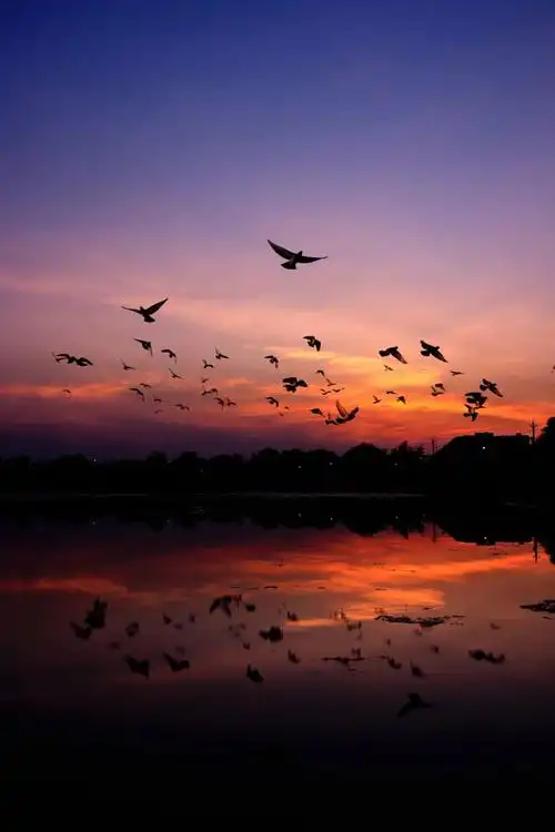 摄影技巧掌握拍照要点晚霞怎么拍都好看