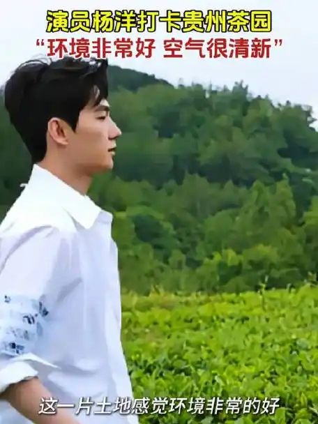 空气很清新"#杨洋#贵州茶园#贵州文旅推荐官#多彩贵州 (素材来源:很