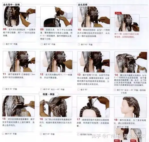 基础染发之全染2