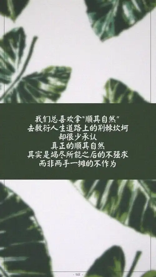 创意人生哲理文字,高清图片,手机锁屏桌面-壁纸族