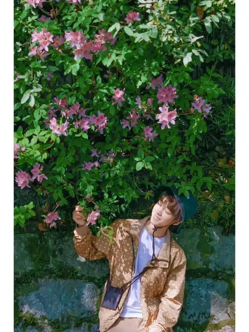 王俊凯春季壁纸