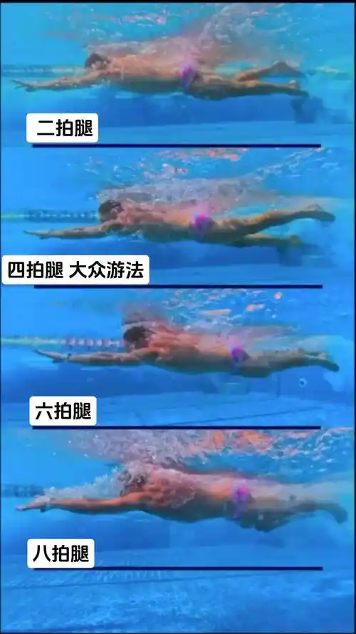 自由泳四种游泳打腿频率9069♀15哪个速度是你最喜欢的!