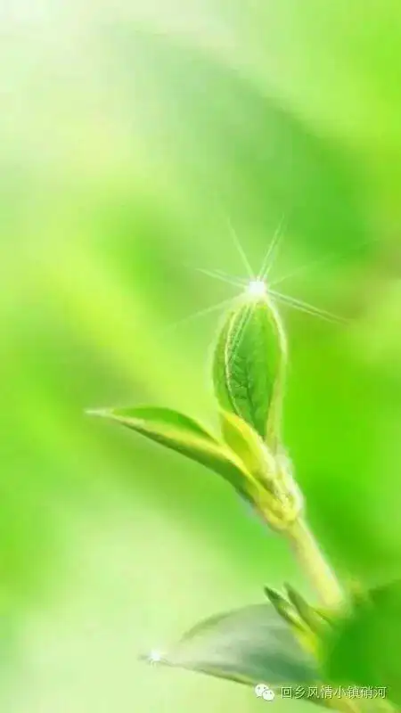 微信护眼睛的背景图片,搜集了很久哦!希望对您有帮助