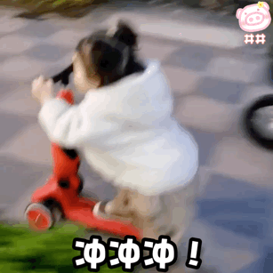 萌娃表情包 可爱的表情包 滑滑板车了