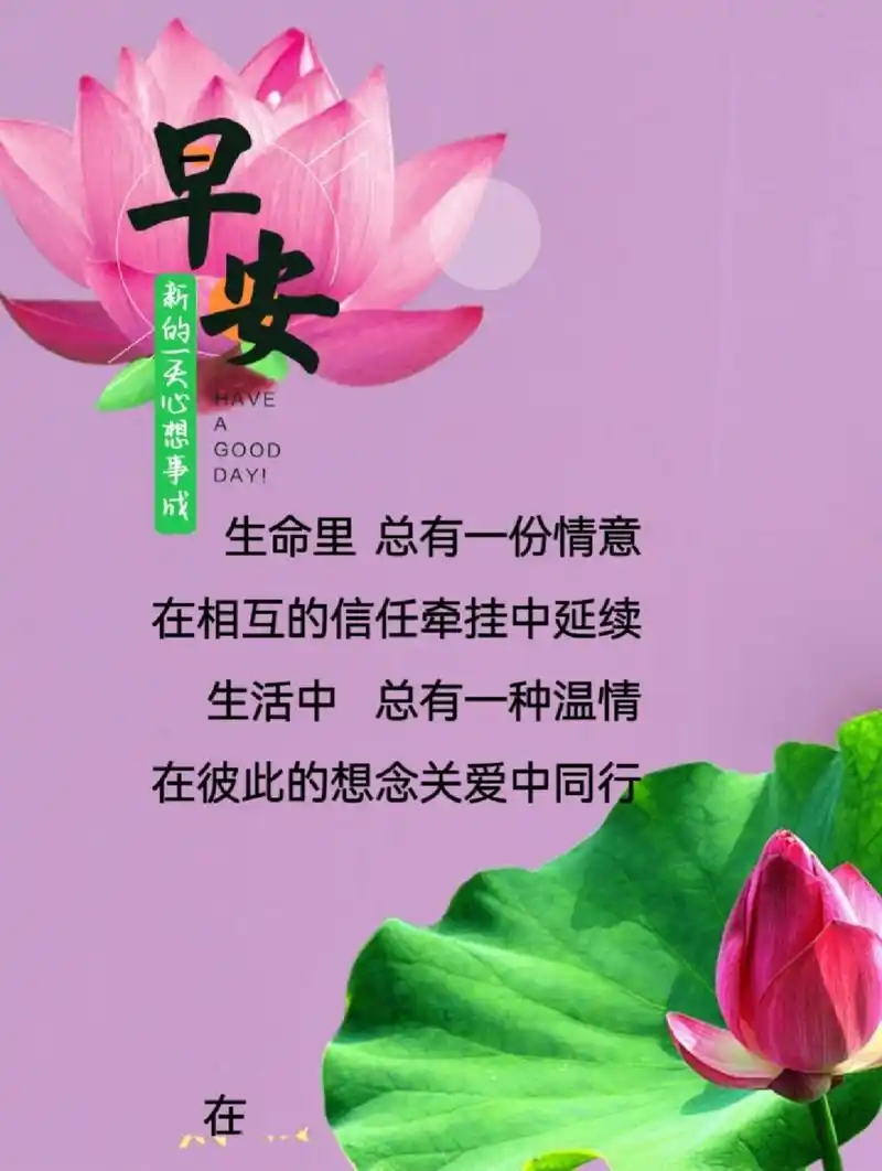 早安问候图. 生命里,总有一份情意,在相互的信任牵挂中延续.
