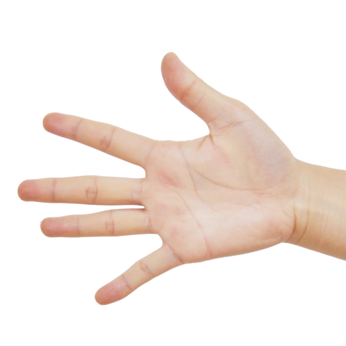 高清手势图片大全