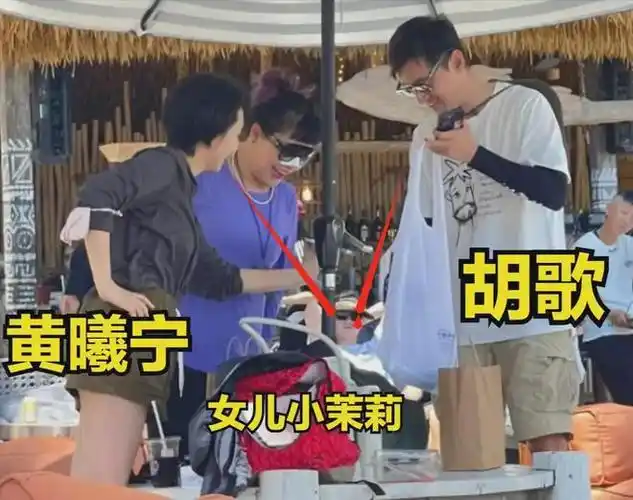 黄磊突然接到电话,她哭着说:"胡歌出车祸了,张冕去世了"|唐嫣|孙莉