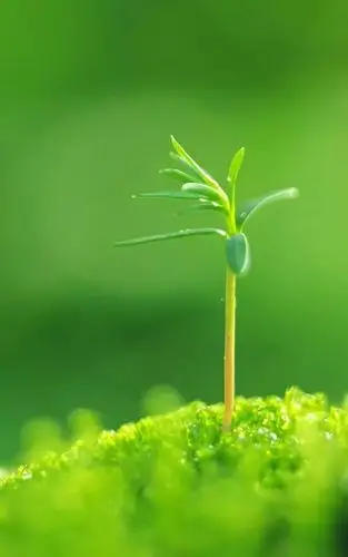 微信有个功能可保护眼睛!任何手机可用!有的人可能不知道