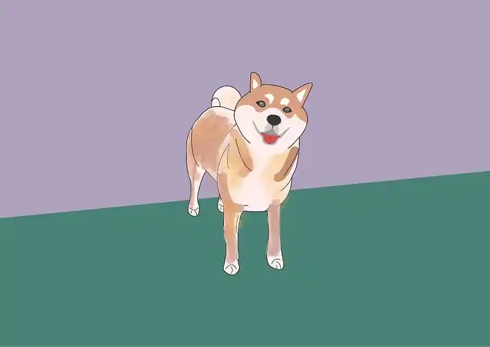 歪头杀柴犬系列