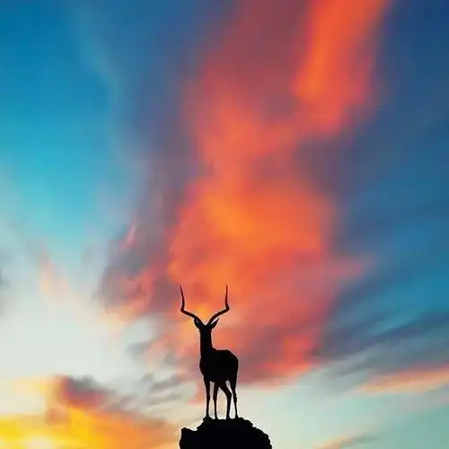 有深度有涵养的句子领悟生活真谛的句子