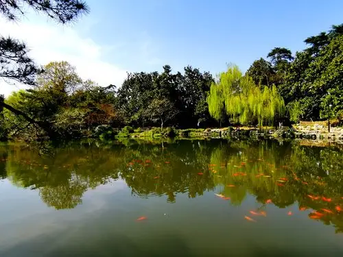 口罩下的西湖花港观鱼 写美篇最是一年春好处,花红柳绿满杭州!