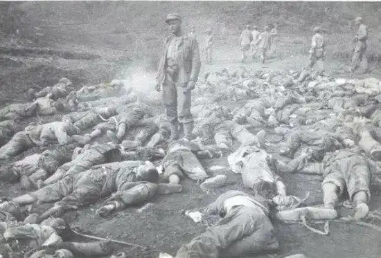 对越反击老山战役血腥惨烈让叶剑英大为震惊