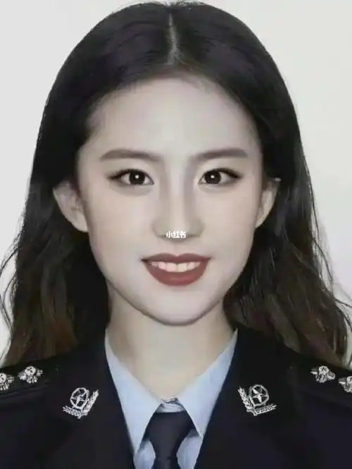 刘亦菲证件照最美警花