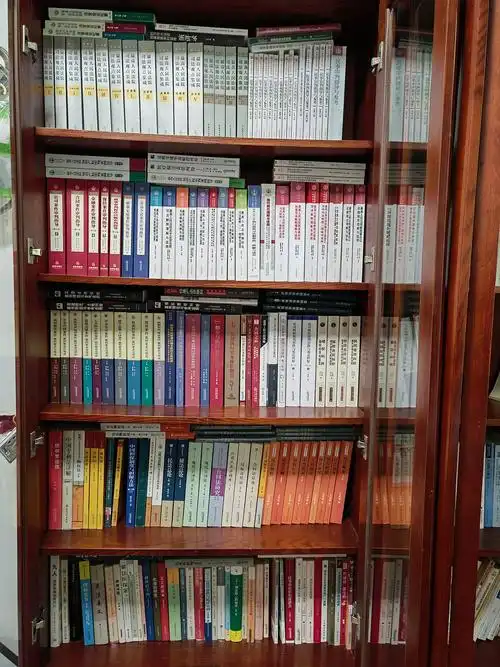 刚装修好的新房子已经迫不及待的摆满了旧书