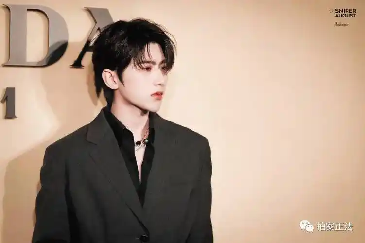 蔡徐坤塌房,吴亦凡入狱,prada专挑劣迹艺人代言?_李易峰_参考_处罚法