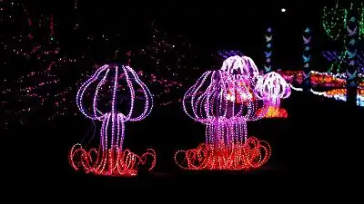 浩彤彤锣湾艺术花海梦幻灯光节即将盛大开园快来领票