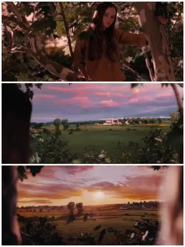 愿我也会整体大于部分(重温《怦然心动》) - 简书