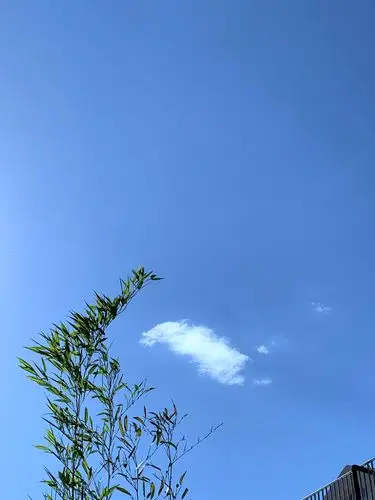 北京今天蓝天白云晴空万里