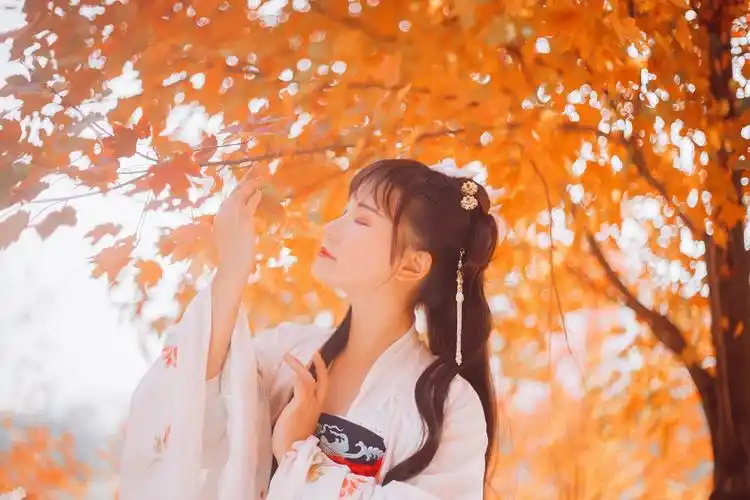 标题:相思枫叶丹