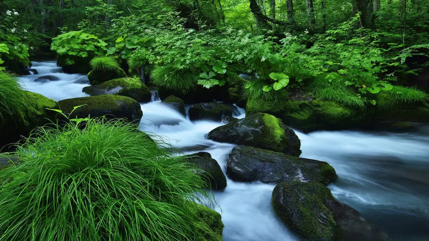 绿色清新山间溪流图片高清宽屏桌面壁纸高清大图预览1920x1080_风景