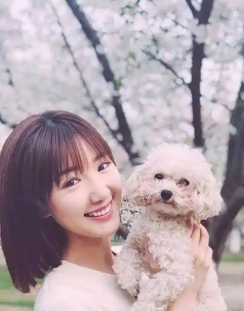 毛晓彤换了一款短发,清爽迷人个性十足,网友:秒变成高校生_造型_发型