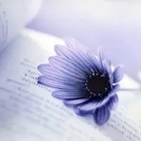 花香的微信头像点击鼠标右键下载