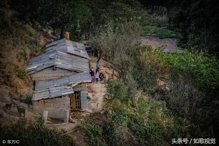 6口之家几代人独居深山采药放羊种地过原始生活才被发现