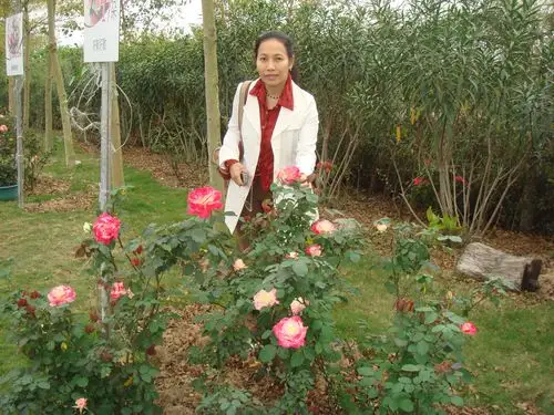 龙女资料照片_广东广州征婚交友_珍爱网