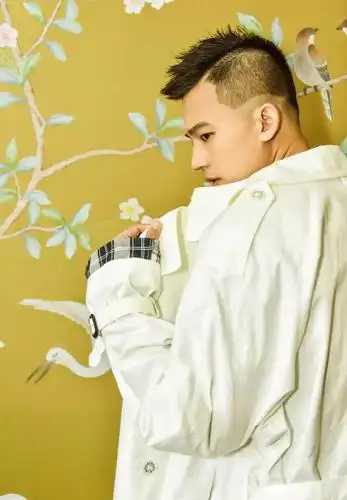 壁纸来领走你的欧豪