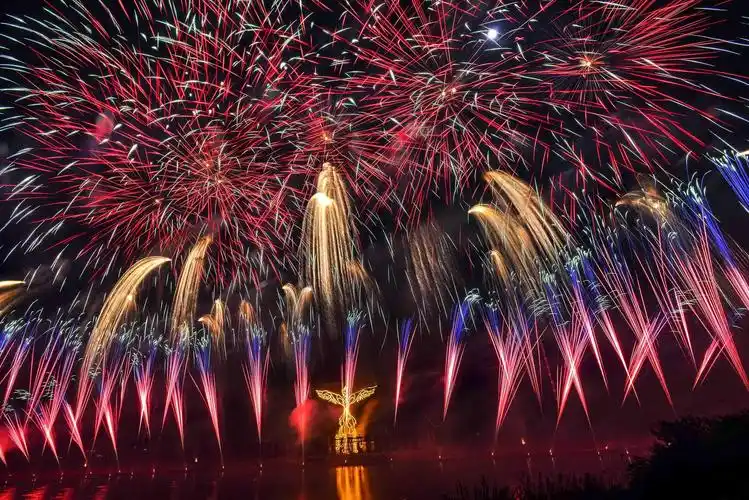 第十三届中国浏阳国际花炮文化节开幕式焰火