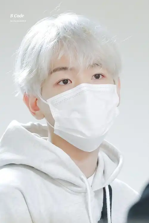 图楼边伯贤口罩素材02