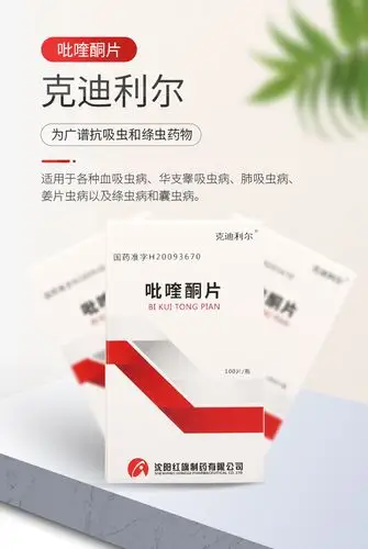 克迪利尔吡喹酮片02g100片