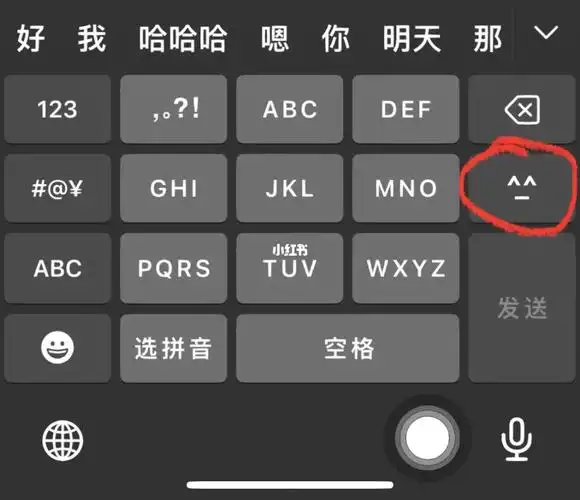 苹果输入法这个表情如何去掉0404