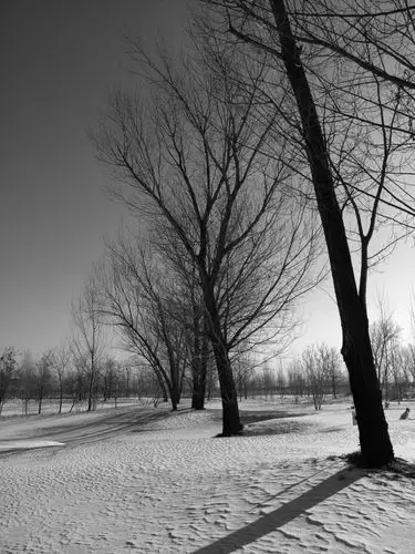 几张黑白风景